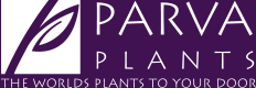 Parva Plants