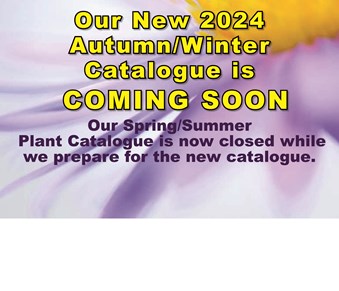Plant Catalogue Temporarily Closed